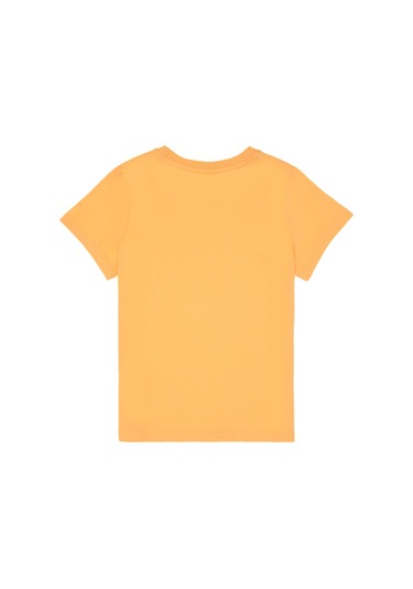 U.s. Polo Assn. Erkek Çocuk Kavun Tişört Basic 50306502-vr202 Kavun Açık Turuncu