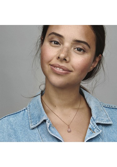 Nur Silver Rose Uğur Böceği Gümüş Charm Nur-bl10039