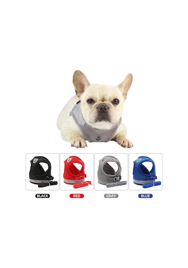 Geeroyoo Küçük Köpekler İçin Havalandırmalı Gece Yürüyüş Yeleği Ve Tasma Seti - Siyah S Bl-844 Siyah