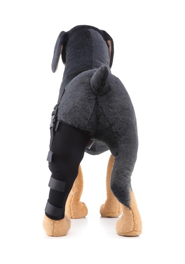 Homyl Köpek Yardımcı Kemer Koruyucu Sol-arka-ayak-siyah-l