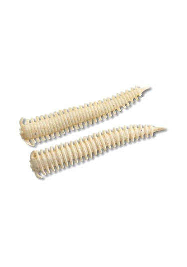 Berkley Gulp Alive Sandworm 5Cm Silikon Kurt