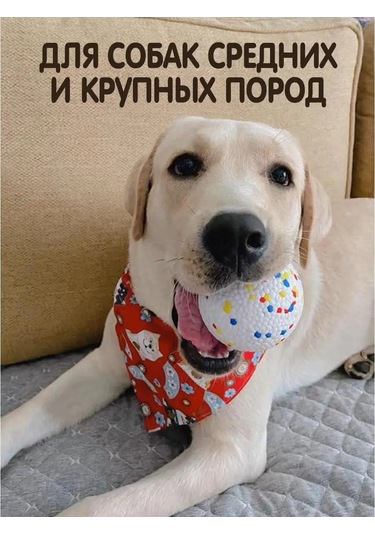 Pozitiffcik Büyük Ve Orta Boy Köpekler İçin Oyuncaklar, Yavru Köpekler İçin Toplar 151330020