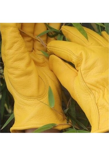 Ccgloball Soğuk Eldivenler Kalınlaşır Sarım - L