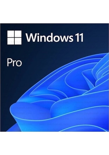Ms Wındows 11 Pro 64Bıt Tur-Eng Esd Lısans (Fqc-10572) (556690488)