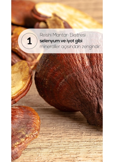 Erbatab Reishi Mantarı Ekstresi 60 Kapsül