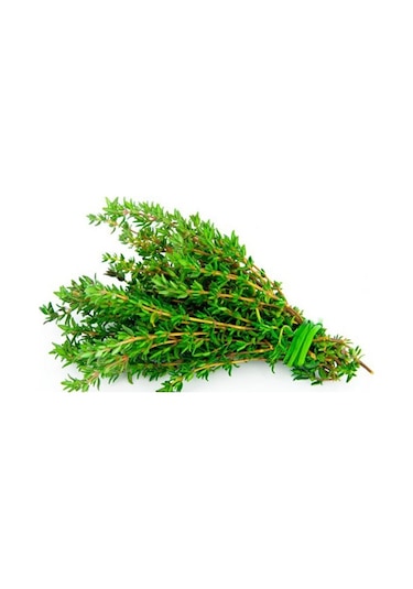 Kekik Tohumu Aromatik Dağ Kekiği Tohumu 20 Adet Tohum + Toh