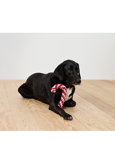 Köpek Oyuncağı, Çubuk Şeker