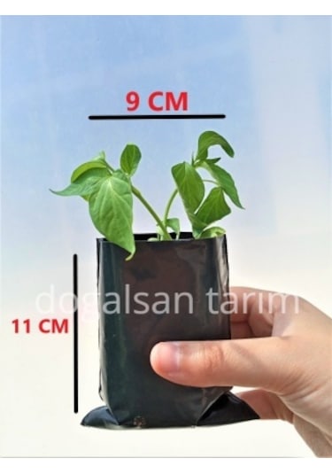 Fidan Poşeti 9X11 cm 10 Adet Körüksüz Fide Poşeti Fide Torbası