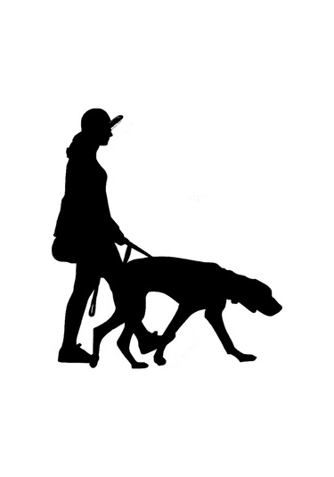 Köpeği Ile Birlikte Sokakta Gezinen Kadın