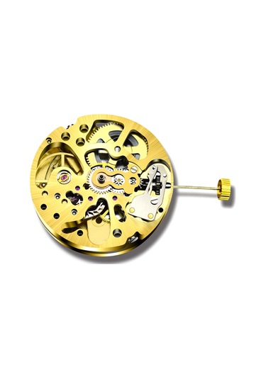 Xurunkeji Altın İskelet 2004 Hareketi Sıradan Sarkaç Ayarı Radyasyon Desenli Tam Otomatik Saat Hareketi Altın