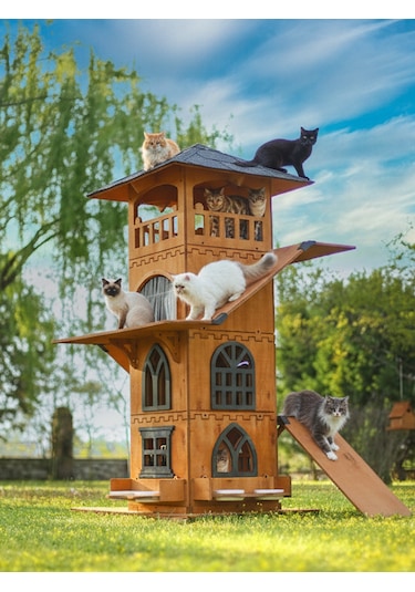 Mandu Ahşap 4 Katlı Teraslı Kedi Evi Tırmalama + Mama Kaplı