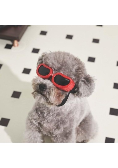 M-pets Sunny Daytrip Köpek Gözlüğü Kırmızı
