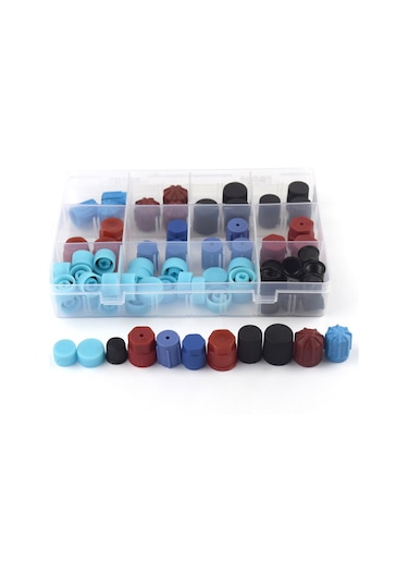 Ranyeek Otomobil Klima Bakım Tulumu, 77 Adet Standart Servis Port Kapakları, Çoğu Model Uyumlu, Kolay Kurulum, Dayanıklı Abs Malzeme, Saklama Kutusu İçerir