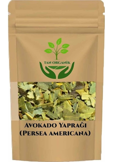 Avokado Yaprağı Persea Americana 1000gr