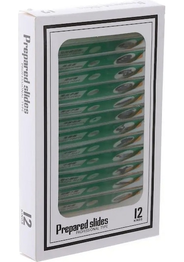 Ece Mikroskop Slayt Preparat Seti Başlangıç 12'li Bitkiler