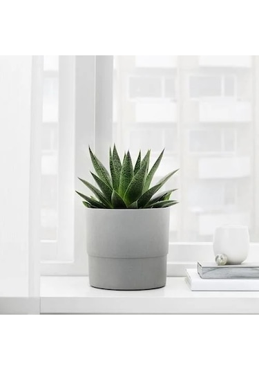Sumuhome Nypon Dekoratif Plastik Saksı Gri 15 Cm