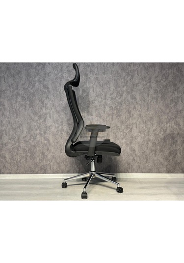 Eden Fileli Üst Düzey Yönetici Koltuğu