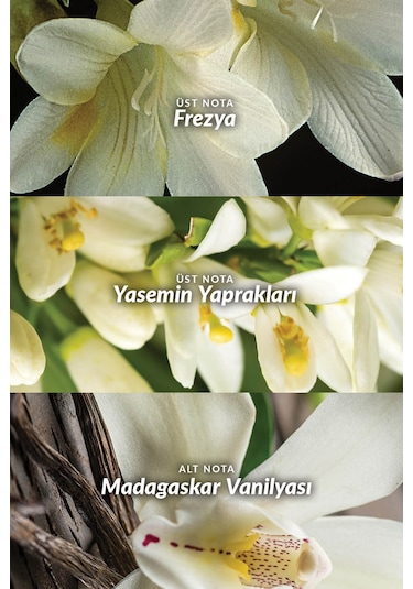 Avon Far Away Kadın Roll-On 3 x 50 ML