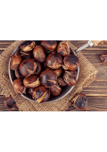 Gümeli Aşı Kestanesi - Duble Büyük Boy, Yeni Sezon Taze Doğal 2 Kg