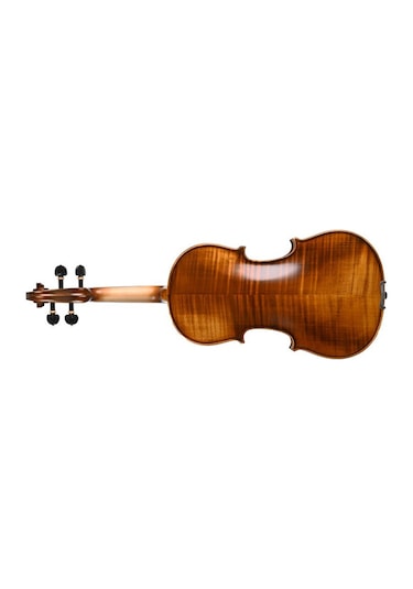 Lichtenberg Vf216 Masif Keman
