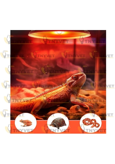 100 Watt Kızılötesi / Kırmızı Işık Isıtıcı Lambalar Sürüngenler,