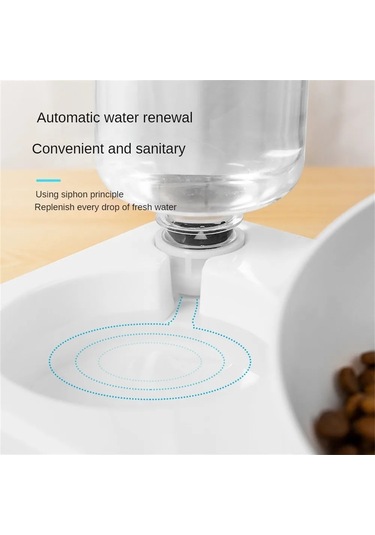 Jıalan Hayvan Mama Kabı Otomatik Dolum Pet İçme Orta Ölçekli