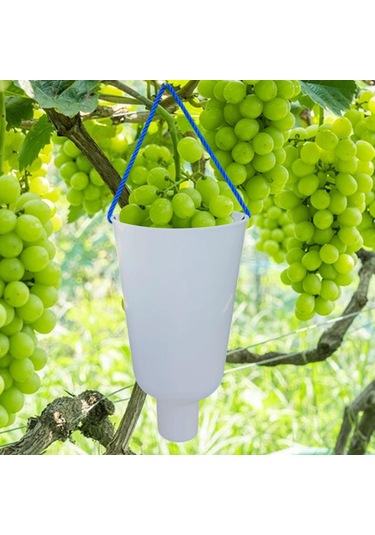 Homyl Üzüm Meyve Islatma Kabı Yetiştirme Bakımı Premium Daldırma