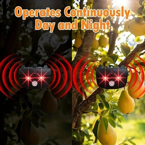 Trendooze Hayvan Kovucu Jkuoo Güneşli Gelişmiş 2li Paket Bahçe Çim