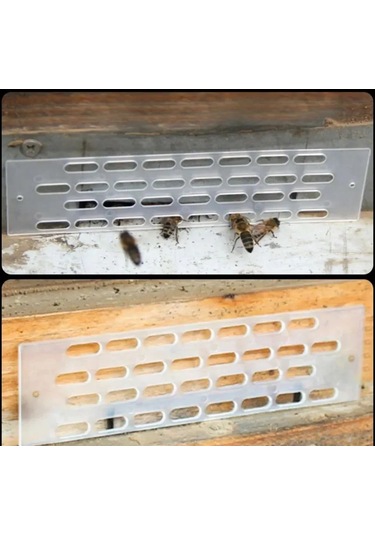 Geeroyoo Arı Kraliçe Kaçma Engeli - Beyaz Çok Amaçlı Arı Kovanı Aracı 10 Adet