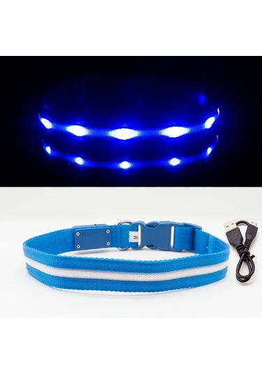 Honeybeeshop 1000 Metre Görüş Mesafeli Şarj Edilebilir Gece Yürüyüşleri İçin Kedi Köpek Tasması Blue M Renk Ve Beden Seçenekleri Altın