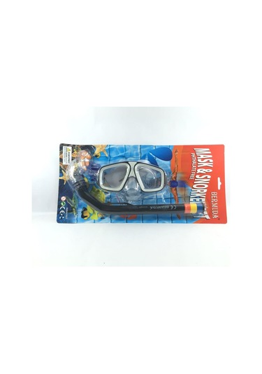 Maske Snorkel Set Dolphin Dalış Seti - 63012e Çok Renkli