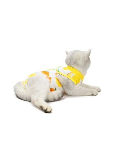 Best Golden Monkey Kediler İçin Ameliyat Sonrası Örtü 95680511