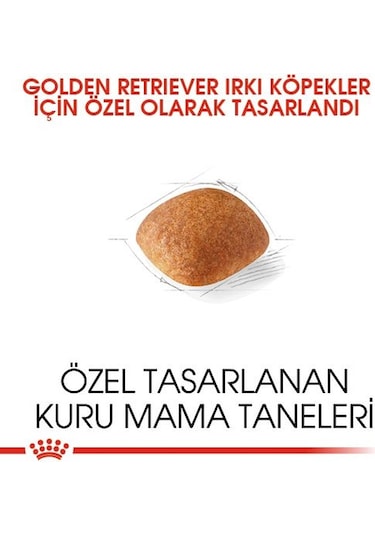 Royal Canin Golden Retriever Yetişkin Köpek Maması 12 KG