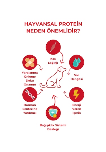 Herbamax Kuzu Etli ve Pirinçli Yetişkin Köpek Maması 2 x 10 KG