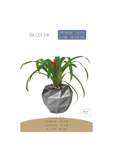 Çiçek Saksısı Dekoratif Kaktüs Saksı 1 Adet Dönen Poly Model - Gümüş Eskitme