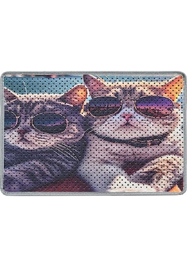 Kar Mat Kedi Tuvaleti Paspası Delikli Kedi Kumu Paspası Gözlüklü