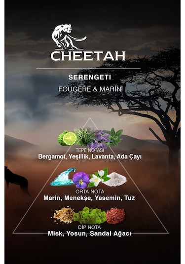 Cheetah Serengeti Erkek Parfüm EDP 100 ML