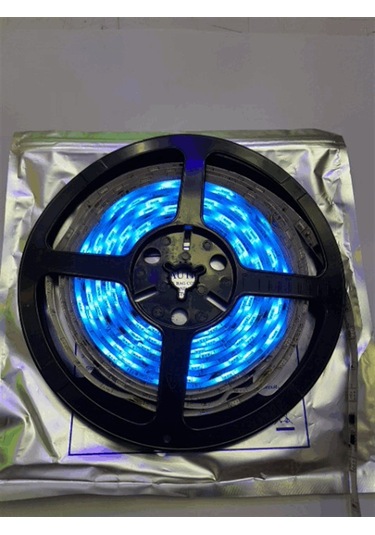 Yürüyen Şerit Led Mavi Silikonlu 5 Metre