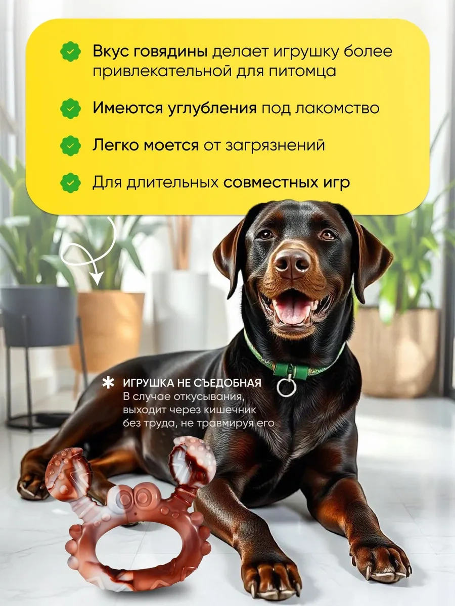 Vetpetshop Köpekler İçin Dayanıklı Oyuncak 317826229