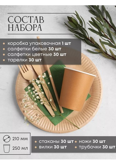 Laraproff 30 Kişilik Parti Tek Kullanımlık Tableware Seti 240765018 100 adet