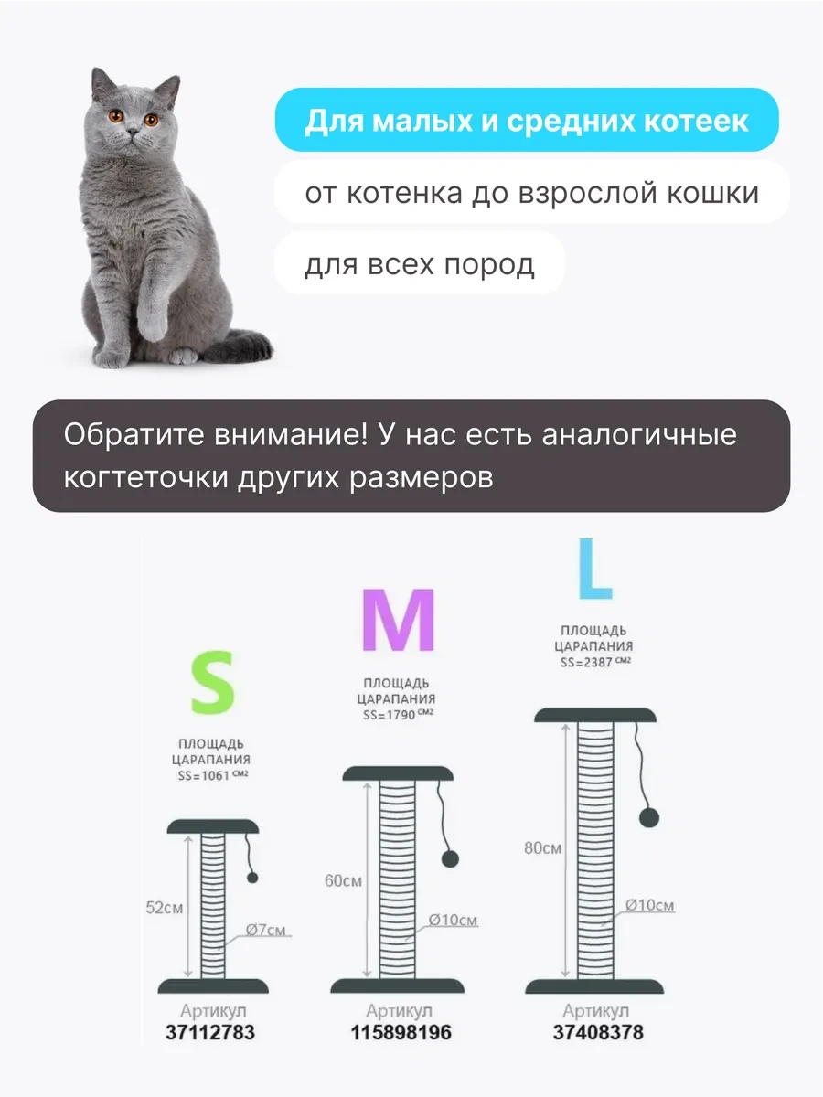 Rıch Breed Kedi Tırmalama Direği Masası Zeminli Dinlenme Yatağı 37112783