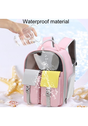 Evcil Hayvanlar Renkli Çift Omuz Çantası Kediler Ve Köpekler Kapsül Sırt Çantaları Taşıma Gezisi Model 6 Mavi