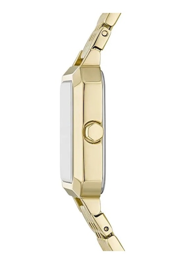 Armani Exchange Ax5725 Kadın Kol Saati
