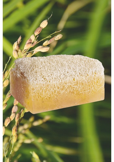 Yumuşak Dev Banyo Lifi Ve Pirinç Özlü Kabak Lifi Sabun Set