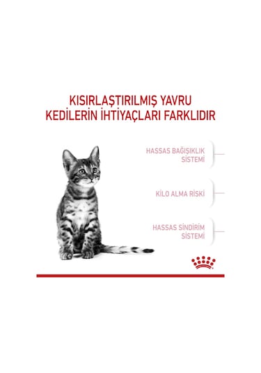 Royal Canin Kısırlaştırılmış Yavru Kedi Maması 2 KG