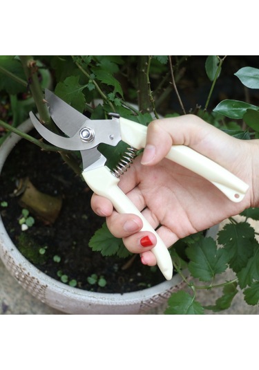 Springsun Çelik Bahçe Budama Makası: Prizmatik Saplı, Çiçek Ve Meyve Ağacı Kesim İçin Hafif, Dayanıklı Bonsai Bakımı Aracı 404-2 Bej Düz Kenar