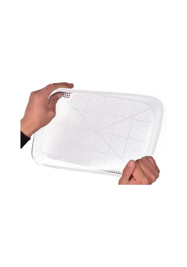 Sones 5 Adet Fasulye Filizi Çimlenme Tepsisi Topraksız Kültür Fide Saksısı Yeşil