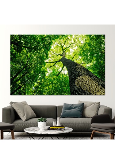 90x150cm 1 Parça Kanvas Tablo, Doğa Kanvas Sanatı