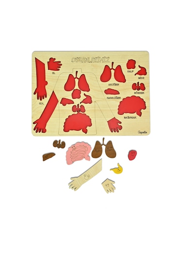 Ahşap Organlarımız Bultak Puzzle Eğitici Oyuncak