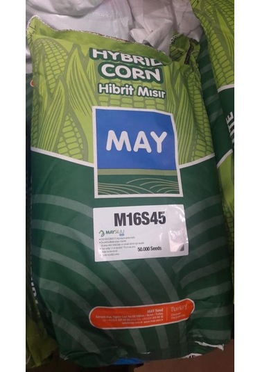 May Silajlık Mısır Tohumu M16s45